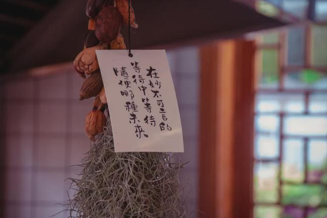 私房菜分享盛夏不散场(图10)