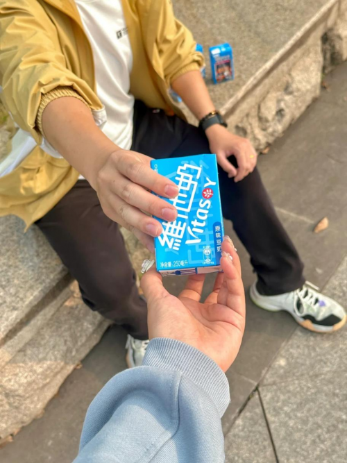 豆香四溢迎春风维他奶经典豆奶美味百搭解锁春游新搭档！(图2)