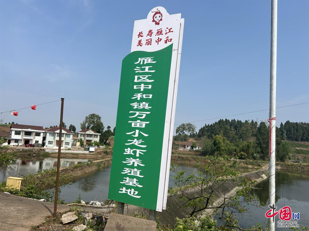 资阳雁江：以“一日一主题”为模式雁江小龙虾美食周再创“新玩法”(图1)