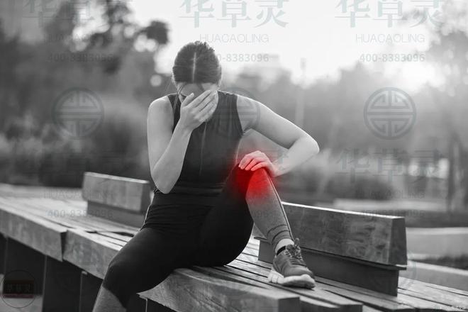 华草灵为你带来缓解颈肩腰腿疼的新视角（一）(图2)