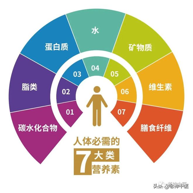 饮食之中的长寿之道活到100岁的金钥匙！(图3)