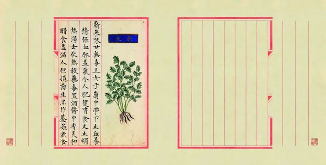 好好吃饭是最朴素也是最难的愿望(图10)