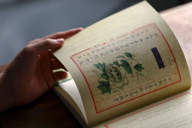 好好吃饭是最朴素也是最难的愿望(图14)