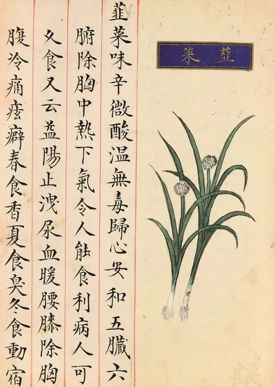 好好吃饭是最朴素也是最难的愿望(图11)