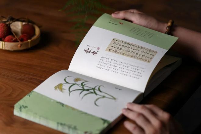好好吃饭是最朴素也是最难的愿望(图30)