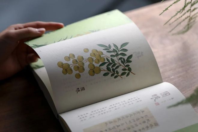 好好吃饭是最朴素也是最难的愿望(图32)