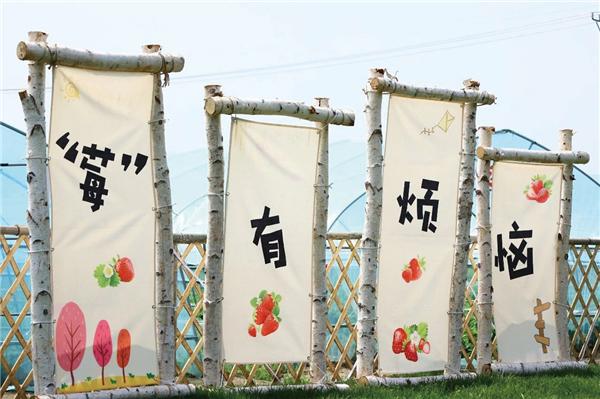 江苏省如皋市吴窑镇：采摘时令美味尽享惬意“食”光(图2)