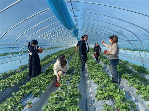 江苏省如皋市吴窑镇：采摘时令美味尽享惬意“食”光