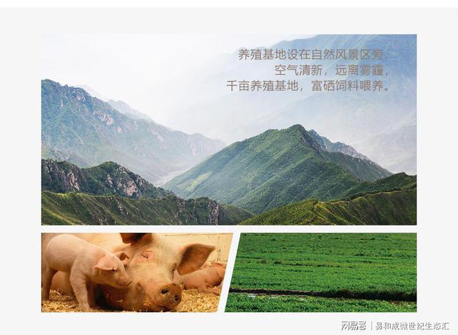替抗富硒猪肉的营养奥秘与健康之道(图4)