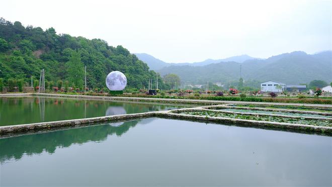 武汉探索打通水产产业链餐饮企业与名特鱼类养殖融合发展(图3)