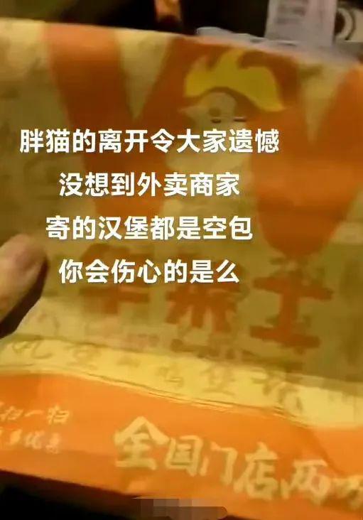 21岁电竞代练大神“胖猫”逝世网友下单奶茶汉堡等外卖祭奠商家却发空包送白水？涉事品牌回应(图2)