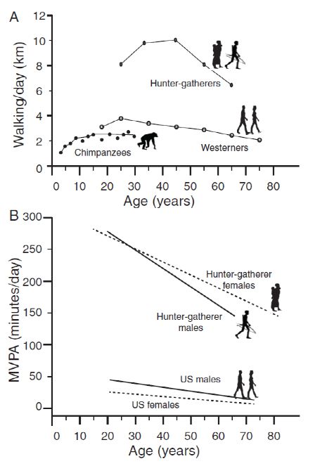 93岁的巴菲特3点长寿之道：其中坚持跑步是他对健康最好的投资！(图13)