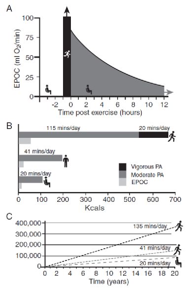 93岁的巴菲特3点长寿之道：其中坚持跑步是他对健康最好的投资！(图14)