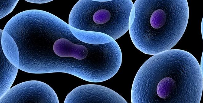 “老得慢”的男人一般会有这5个好习惯看看你能占几个？(图2)