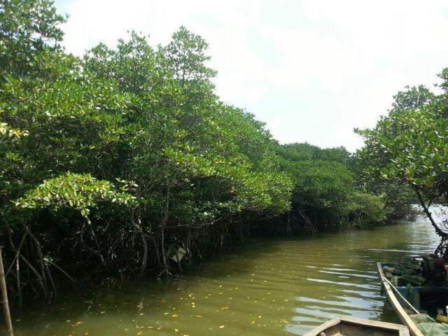 3条海南自驾线路美景美食一网打尽!(图8)