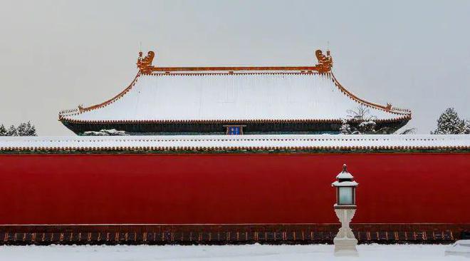 今麦郎花200w设计的新logo值吗？(图7)