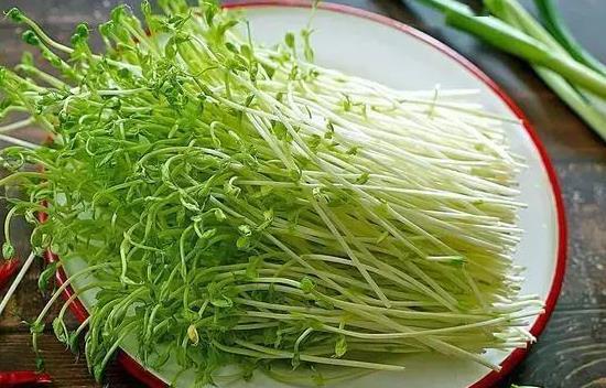 嫩出新高度！这些蔬菜你吃过吗？快来尝尝鲜你不可错过的美味(图4)