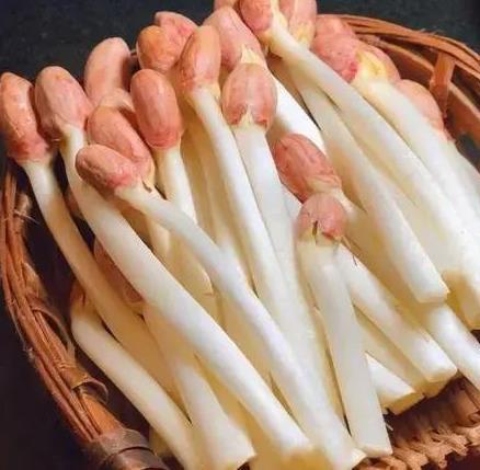 嫩出新高度！这些蔬菜你吃过吗？快来尝尝鲜你不可错过的美味(图3)