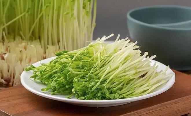 嫩出新高度！这些蔬菜你吃过吗？快来尝尝鲜你不可错过的美味(图5)