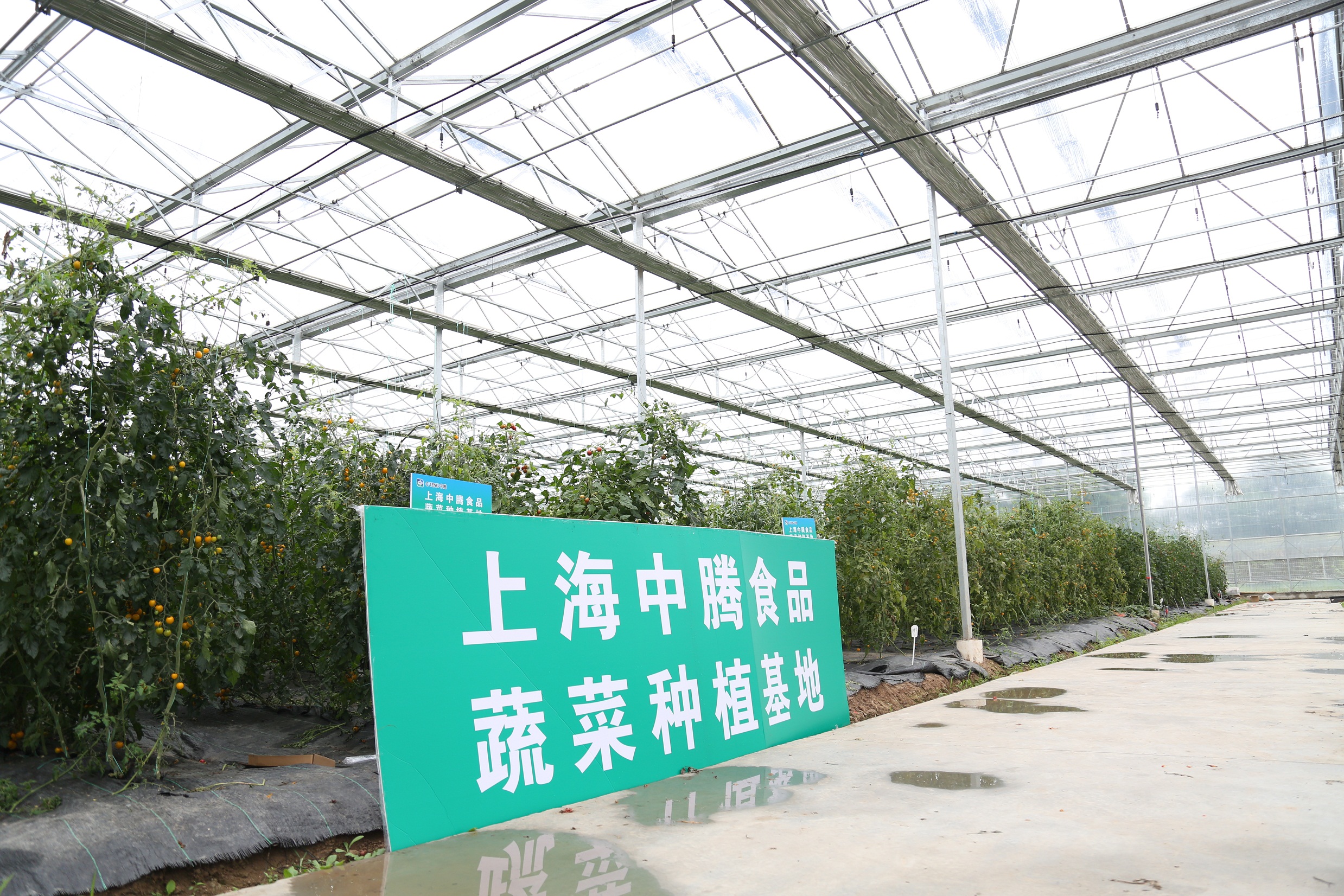 引领餐饮新时代：中腾食品的科学化管理之道(图2)