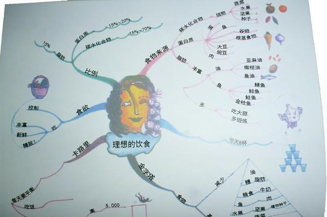如何从饮食上激发孩子身体潜能？3张思维导图讲明白家长可收藏(图2)