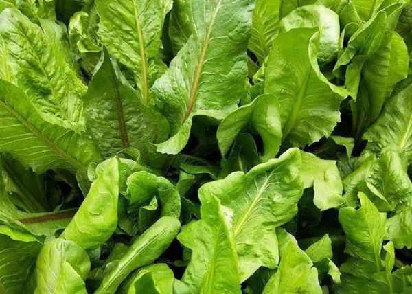 科技与食物融合创新玉环生物开3D大米新赛道(图1)