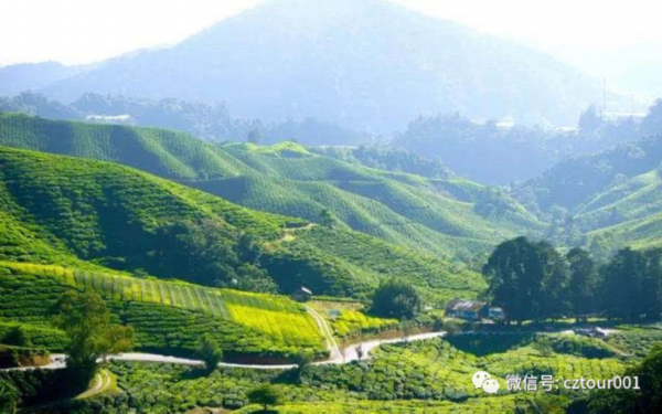 美味又健康！这个秋天来溧阳尝一口农鲜味道赴一场美妙醇厚的寻味之旅！