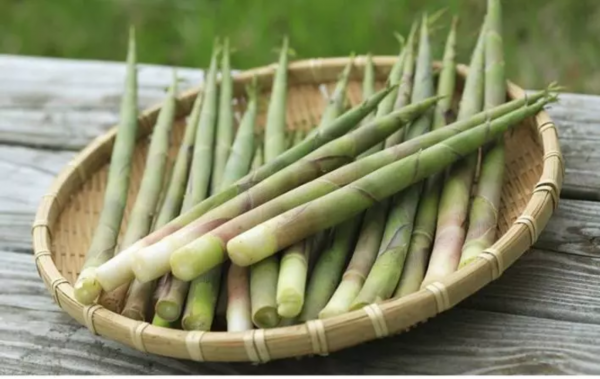 美味又健康！这个秋天来溧阳尝一口农鲜味道赴一场美妙醇厚的寻味之旅！(图8)