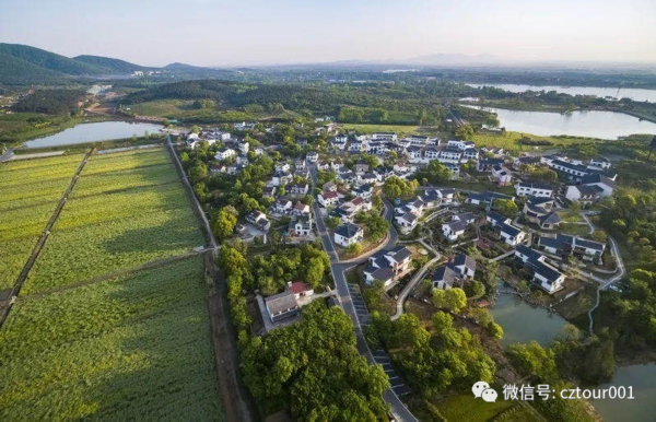 美味又健康！这个秋天来溧阳尝一口农鲜味道赴一场美妙醇厚的寻味之旅！(图10)