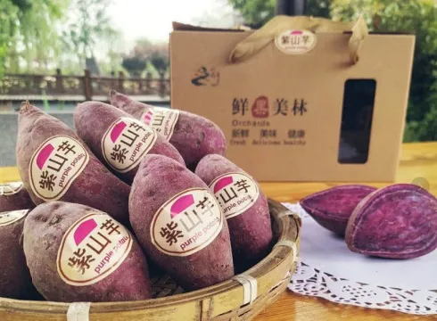 美味又健康！这个秋天来溧阳尝一口农鲜味道赴一场美妙醇厚的寻味之旅！(图12)