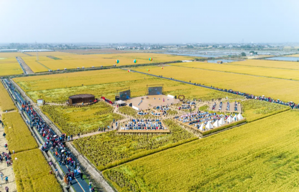 美味又健康！这个秋天来溧阳尝一口农鲜味道赴一场美妙醇厚的寻味之旅！(图14)