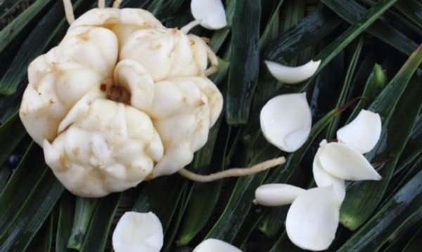 美味又健康！这个秋天来溧阳尝一口农鲜味道赴一场美妙醇厚的寻味之旅！(图13)