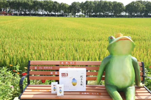 美味又健康！这个秋天来溧阳尝一口农鲜味道赴一场美妙醇厚的寻味之旅！(图15)