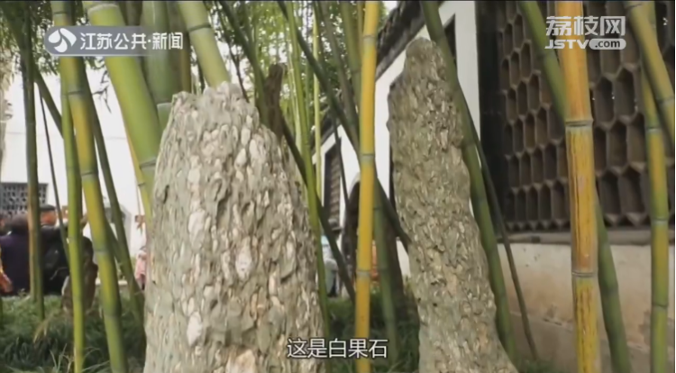 皇帝同款美景直击灵魂的美味！扬州“逛吃指南”来啦(图9)