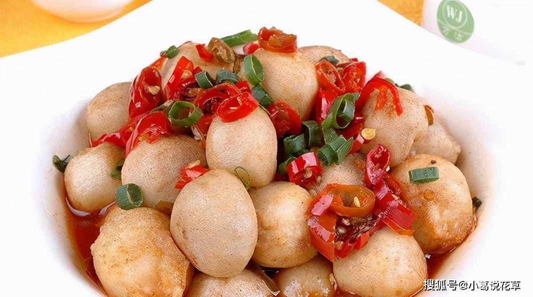 精选41道菜品推荐色香味俱全好吃又容易吃家人吃的开心(图7)