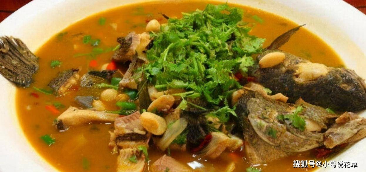 精选41道菜品推荐色香味俱全好吃又容易吃家人吃的开心(图21)