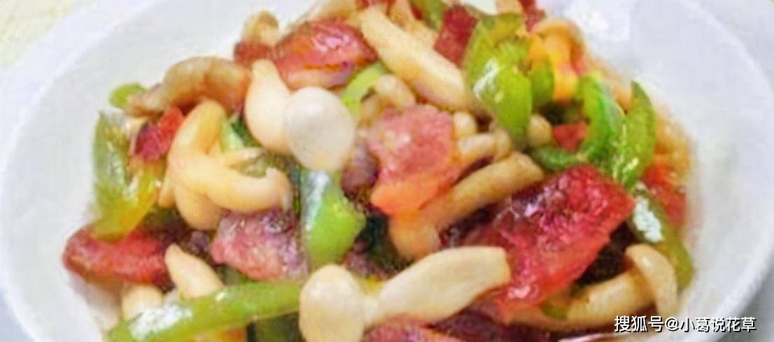 精选41道菜品推荐色香味俱全好吃又容易吃家人吃的开心(图31)