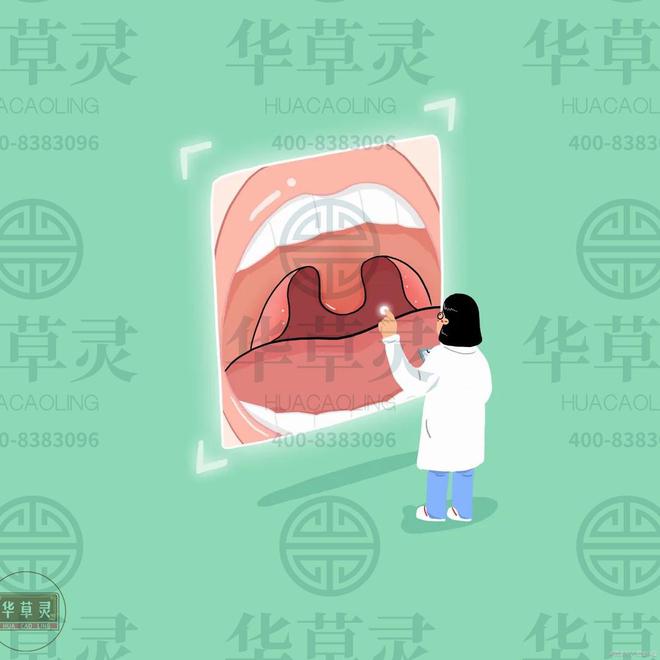 科学去火健康无忧：探寻温和去火之道