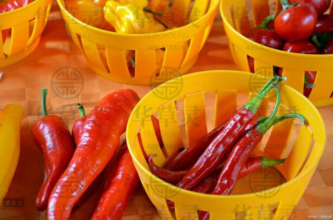 科学去火健康无忧：探寻温和去火之道(图2)