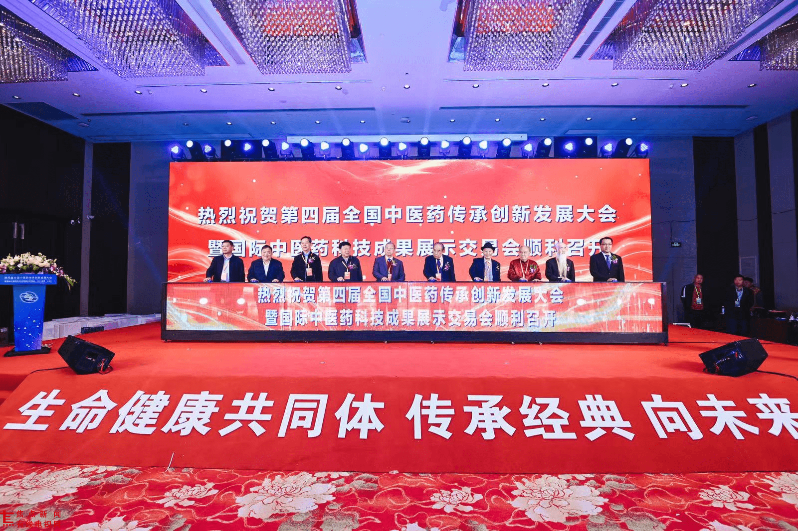 蝶小仙豆腐品牌亮相全国中医药传承创新发展大会(图2)