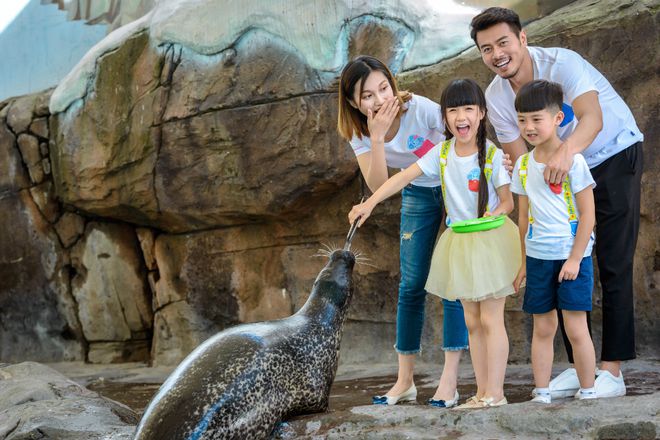 藏在十九页PPT里的“海合安之道”(图5)