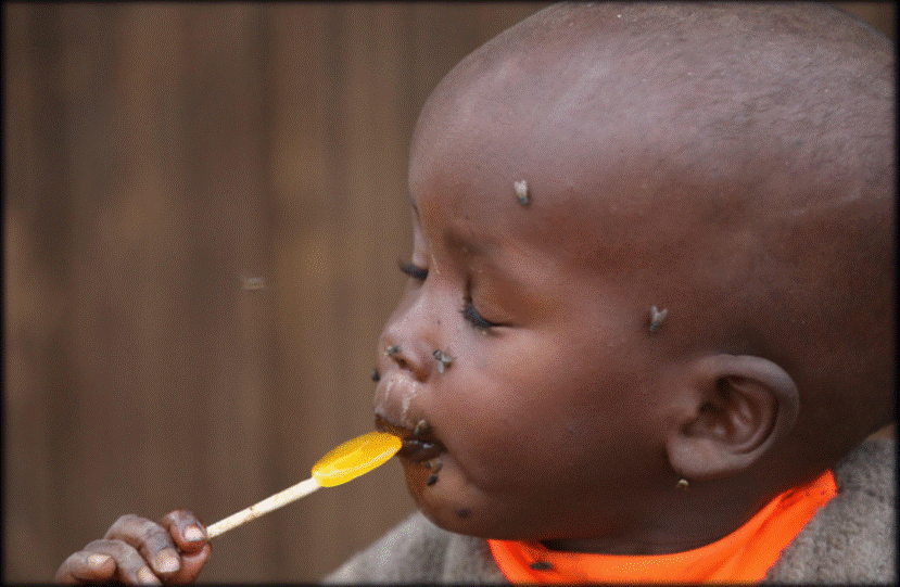 圣恩30年“味道”坚守助力中国餐饮品牌发展 圣恩30年“味道”坚守助力中国餐饮品牌发展