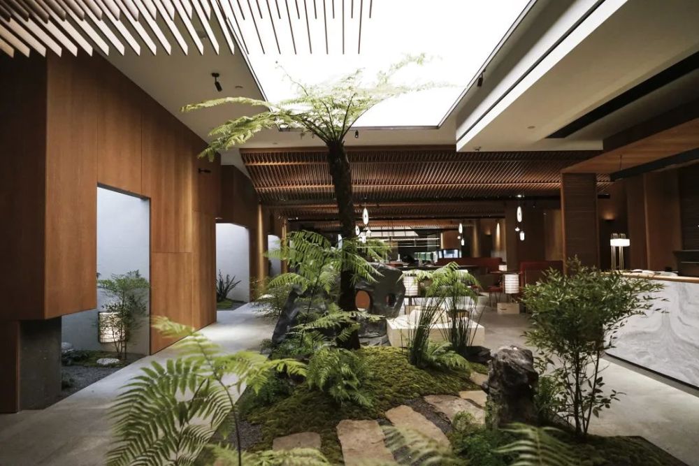 对话陈天福、向东:在“守正”与“创新”中寻找平衡点打造川菜底蕴(图12)