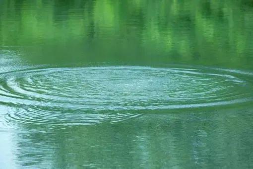 夏至从《红楼梦》中学习调节心情之道谨防“情绪中暑”(图2)