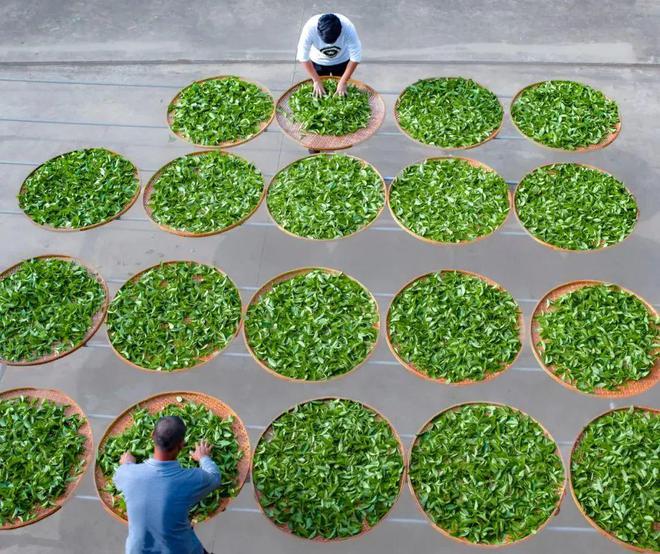 “趣”福建嗨一“夏”跟着吴克群的脚步来福建“讲究”一“夏”(图13)