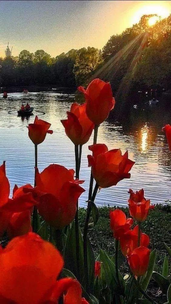 白岩松谈中国三大扯蛋、四大怪事、五大谎言太敢说了!(图4)