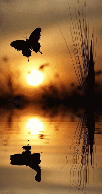 白岩松谈中国三大扯蛋、四大怪事、五大谎言太敢说了!(图9)