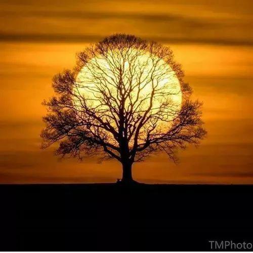 白岩松谈中国三大扯蛋、四大怪事、五大谎言太敢说了!(图3)