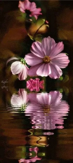 白岩松谈中国三大扯蛋、四大怪事、五大谎言太敢说了!(图12)