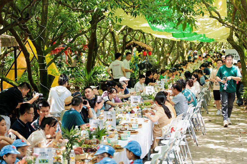 2024年海口乡村旅游季开幕聚力打造乡村文旅美味IP(图4)